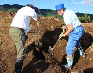Digging starts